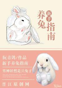 新手养兔守则