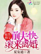 前妻归来腹黑萌宝坑爹记