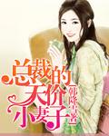 总裁的天价小妻子评价