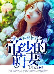 闪婚掠爱帝少宠妻入骨