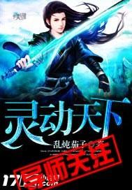 灵动天下软件是正规公司吗