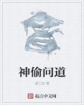 问道盗宝小贼