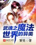 异世武魂类