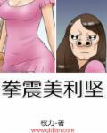 拳震美利坚权力