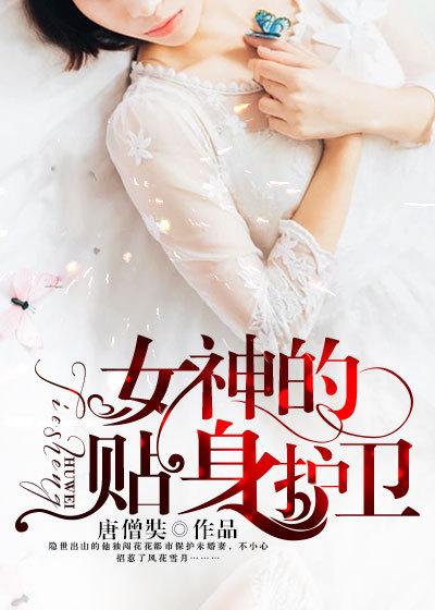 女神的贴身护卫TXT奇书网