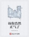 浩然正气的意