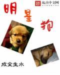 明星狗大黄几岁了