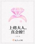 上将大人真会撩全文免费阅读