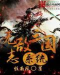 新书三国之无敌