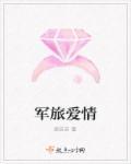 军旅爱情电视剧大全经典