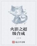 火影之超神融合免费阅读