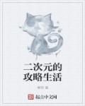 二次元之日常生活