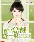 这个总裁不太冷视频