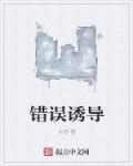 错误引导的例子