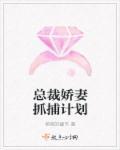 总裁追爱娇妻休要逃
