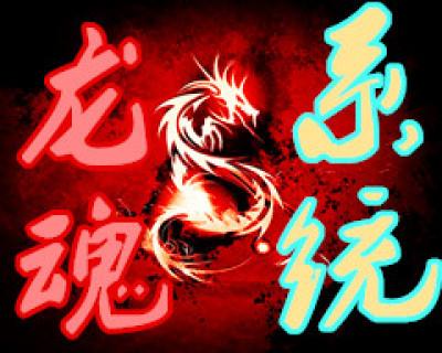 龙魂控制系统