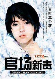 官场新贵完整版