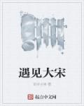 大宋奇遇