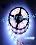 走马灯株式会社免费完整版