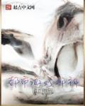 系统 能力
