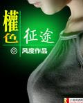 宦海征途全文免张东锋
