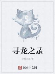 寻龙之旅彩蛋