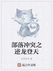 部落冲突指导国际服
