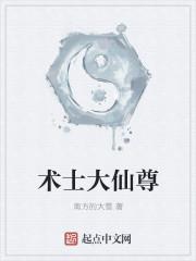 术士是谁