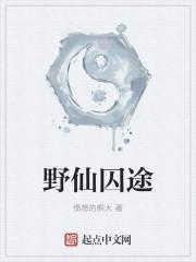 仙途野路百科
