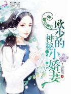 一婚二宝欧少