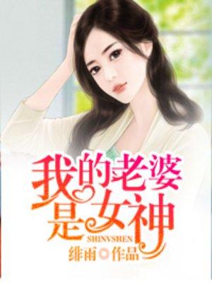 我的老婆是女神评价