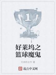 好莱坞之篮球魔鬼txt