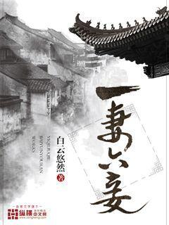 一妻一妾叫什么