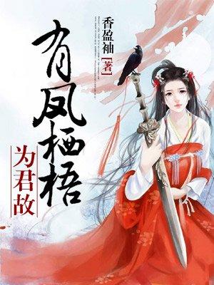 凤栖梧隐藏着什么意思