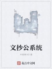 文抄公系统流