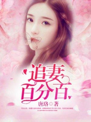 追妻系列