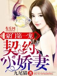 豪门甜宠契约婚姻