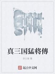真三国猛将传8