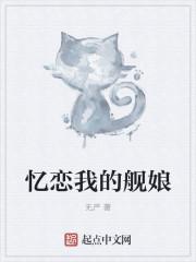 我的舰娘走丢了