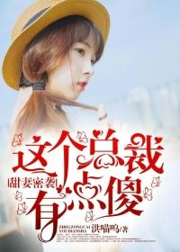 这个总裁有点傻 洪喵呜