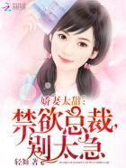 别傲娇艾米×司冥