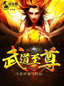 武道至尊动漫