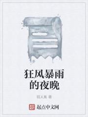 狂风暴雨的夜晚免费阅读全文