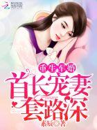 重生宠婚首席追妻套路深讲什么