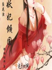 妖妃倾国皇上请止步