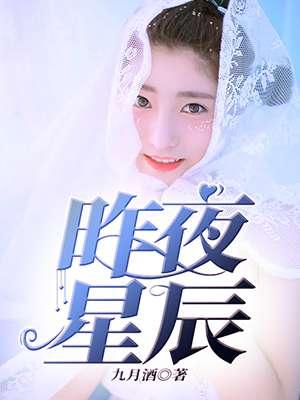 昨夜星辰剧情简介