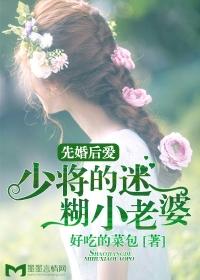 先婚后爱少校宠妻