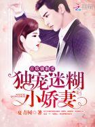 首席强势宠军婚100分免费