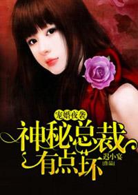 宠妻无度神秘总裁夜夜宠