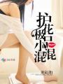 极品护花小神医免费阅读